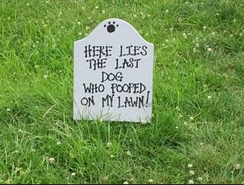 Pick up your dog;s poop